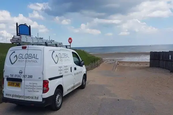 pest control near me