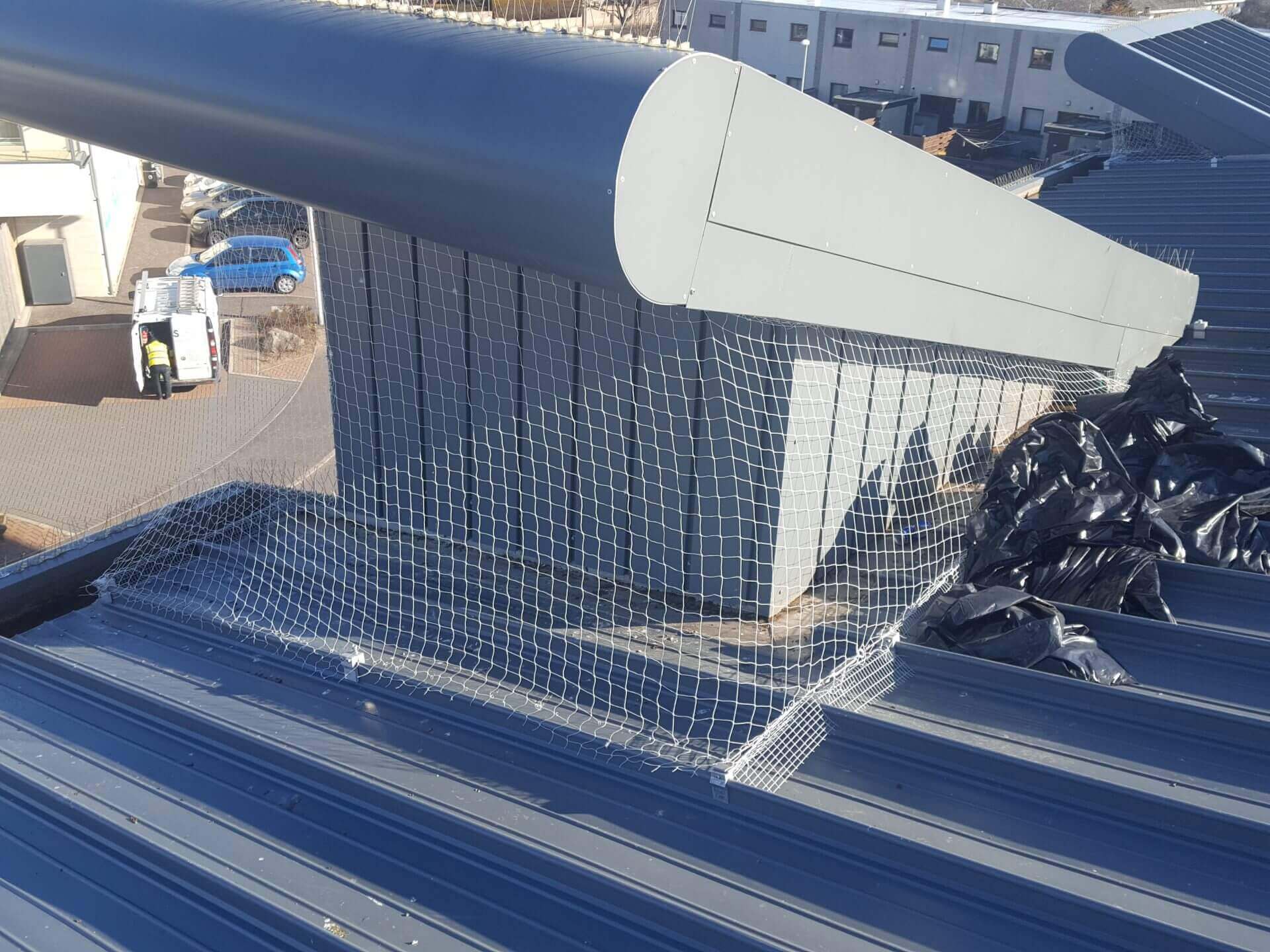 bird exclusion netting dundee
