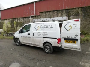industrial pest control dundee